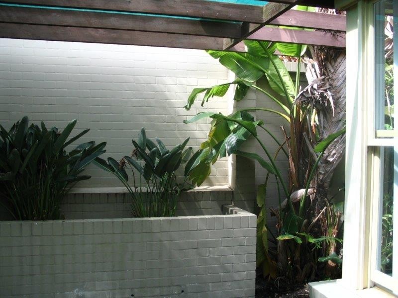 62 Brompton Road, Kensington NSW 2033