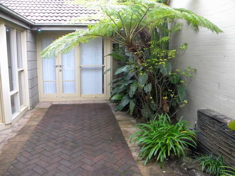 62 Brompton Road, Kensington NSW 2033