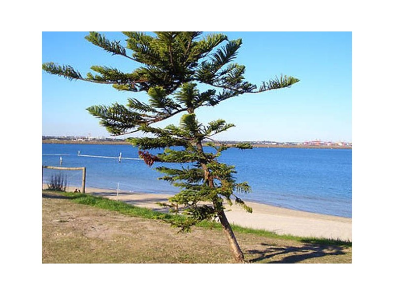 91 Clareville Avenue, Sandringham NSW 2219