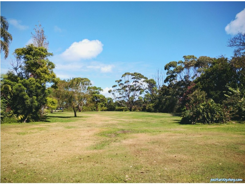 43 Scott Street, Kogarah NSW 2217