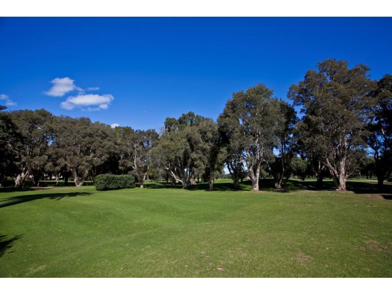 22 Ferry Avenue, Beverley Park NSW 2217