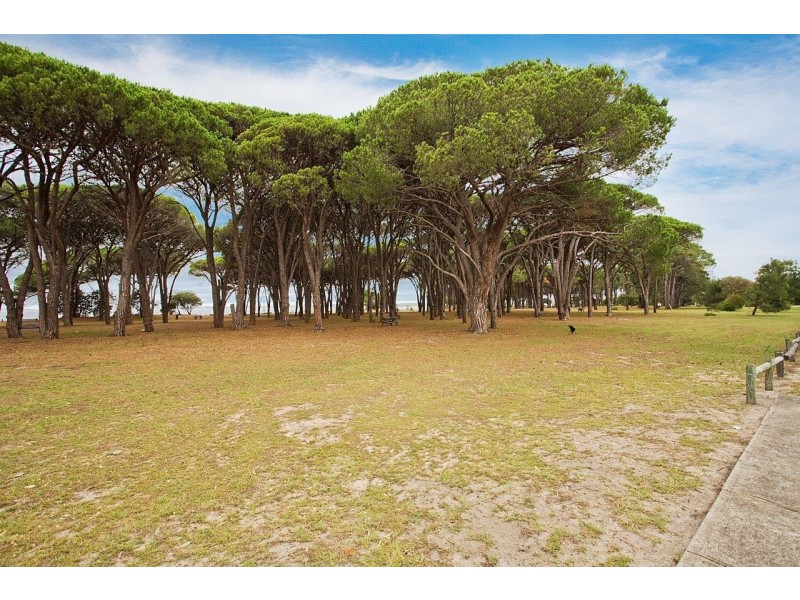 24 Selmon Street, Sans Souci NSW 2219