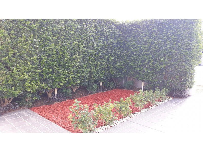 2a Monterey Street, Monterey NSW 2217