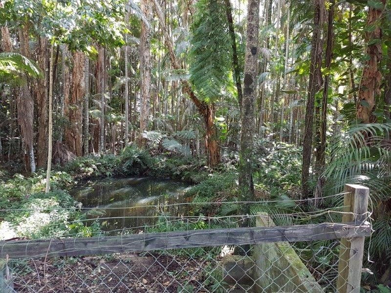 235 Diddillibah Road, Woombye QLD 4559