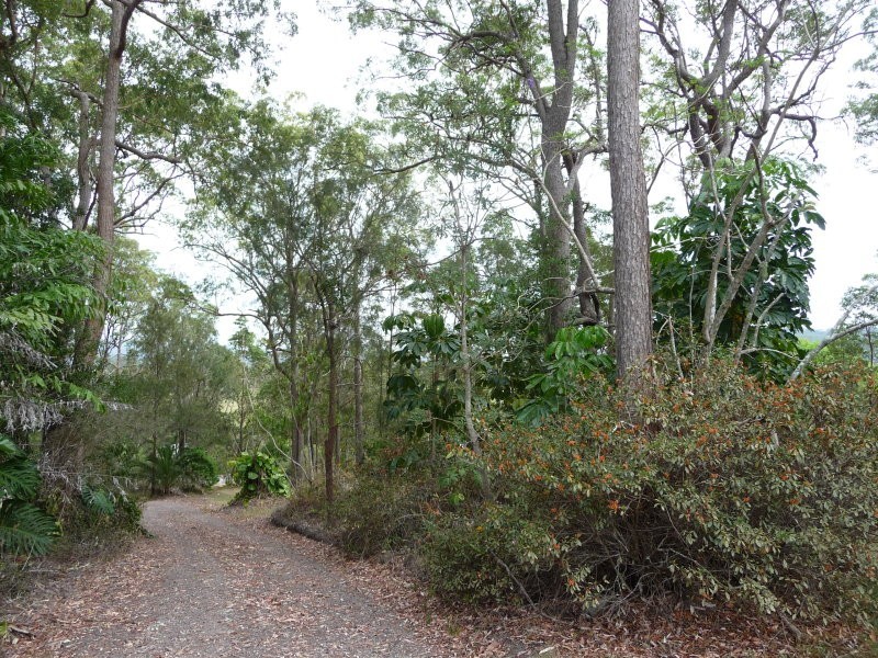 Lot 4, 250 Yandina Bli Bli Road, Maroochy River QLD 4561