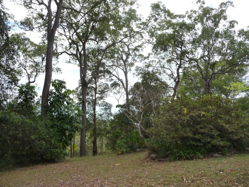 Lot 4, 250 Yandina Bli Bli Road, Maroochy River QLD 4561