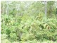 209-255 Blackall Range Road, West Woombye QLD 4559