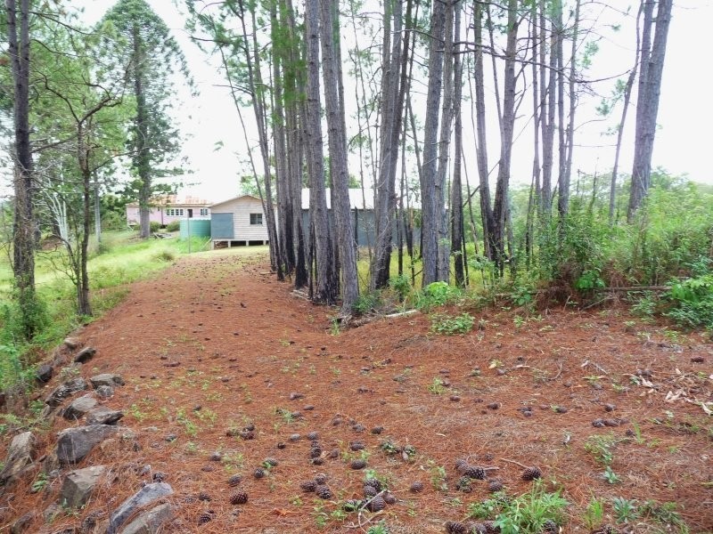 209-255 Blackall Range Road, West Woombye QLD 4559