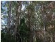 209-255 Blackall Range Road, West Woombye QLD 4559