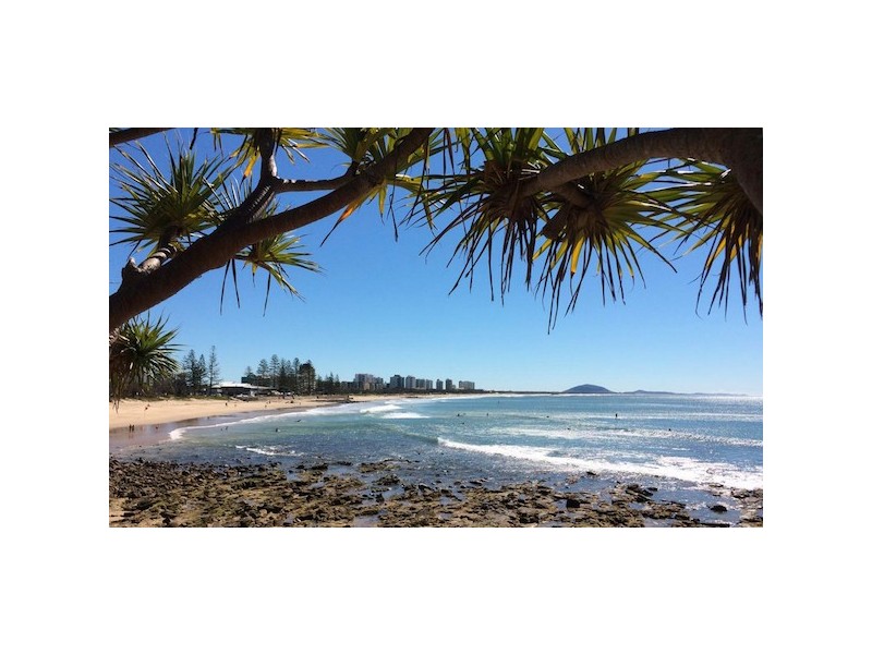 15 THE GROVE, Alexandra Headland QLD 4572