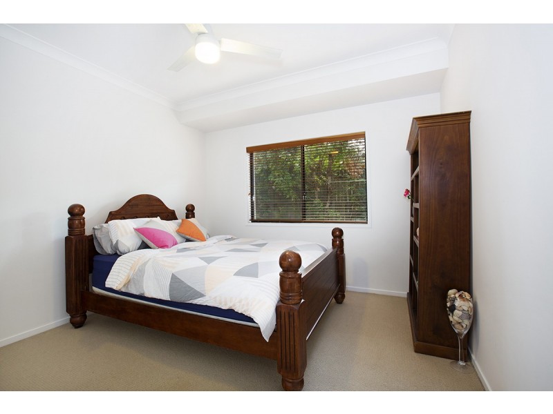 16 RIMMEL PLACE, Palmwoods QLD 4555