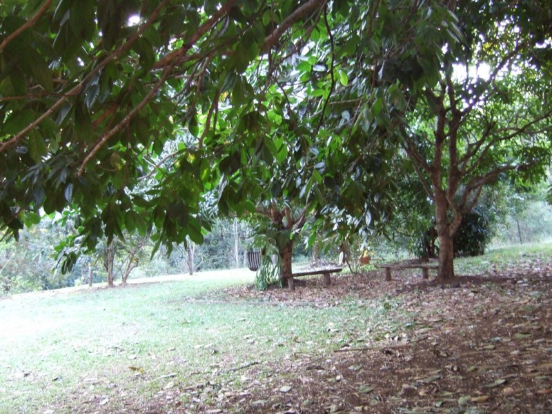 114 MACDONALD ROAD, Palmwoods QLD 4555