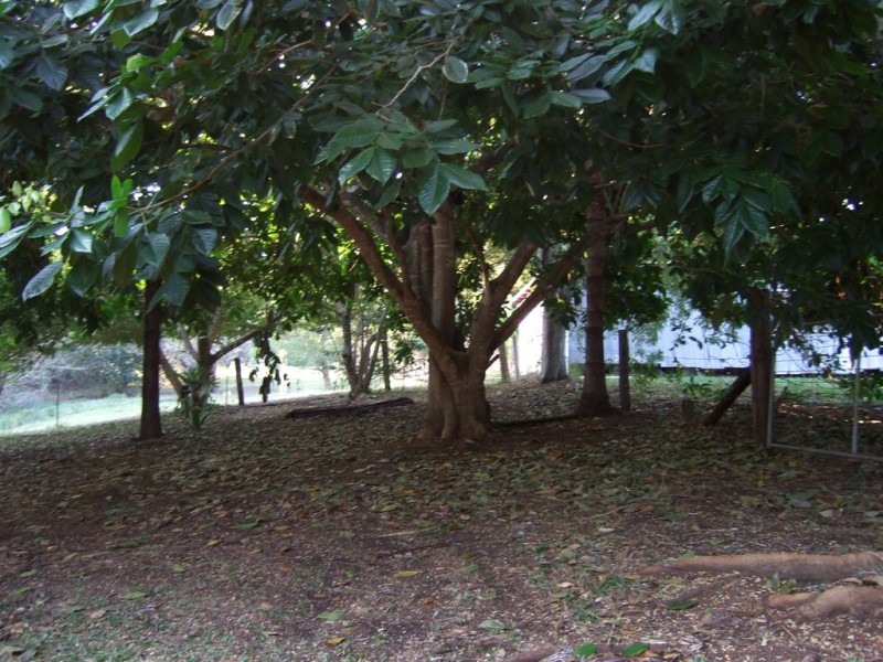 114 MACDONALD ROAD, Palmwoods QLD 4555