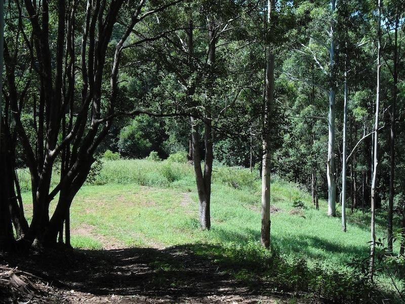 West Woombye QLD 4559