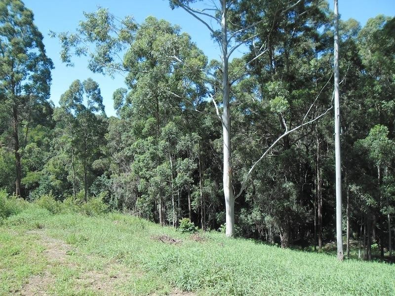 West Woombye QLD 4559
