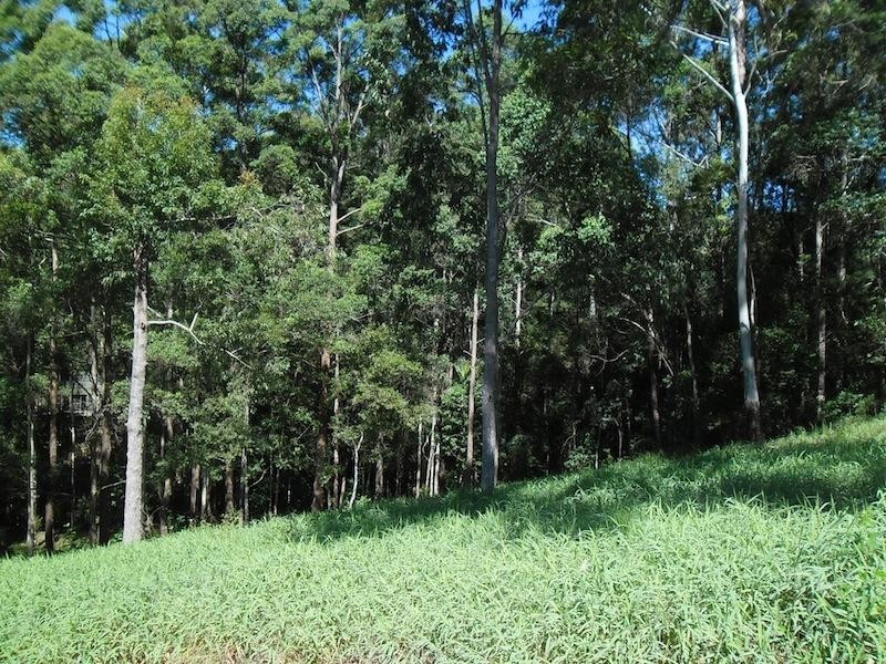 West Woombye QLD 4559