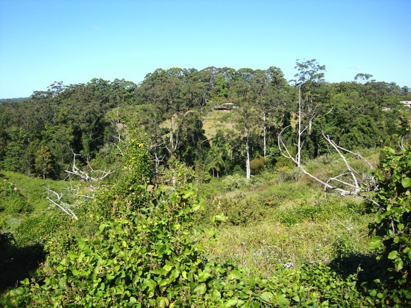 40-48 Kiel Mountain Road, Woombye QLD 4559