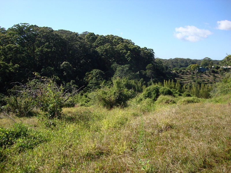 40-48 Kiel Mountain Road, Woombye QLD 4559