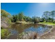 431 Kureelpa Falls Road, Kureelpa QLD 4560