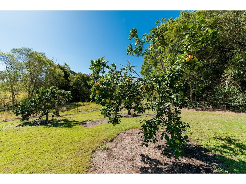 431 Kureelpa Falls Road, Kureelpa QLD 4560