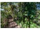 431 Kureelpa Falls Road, Kureelpa QLD 4560