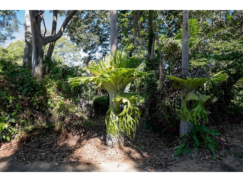 431 Kureelpa Falls Road, Kureelpa QLD 4560