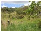 68 Welks Ridge Road, Towen Mountain QLD 4560