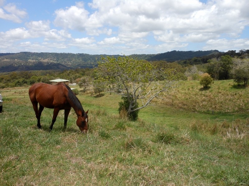68 Welks Ridge Road, Towen Mountain QLD 4560