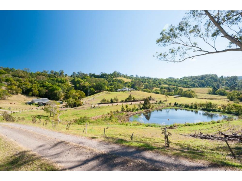 Mapleton QLD 4560