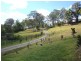 Mapleton QLD 4560