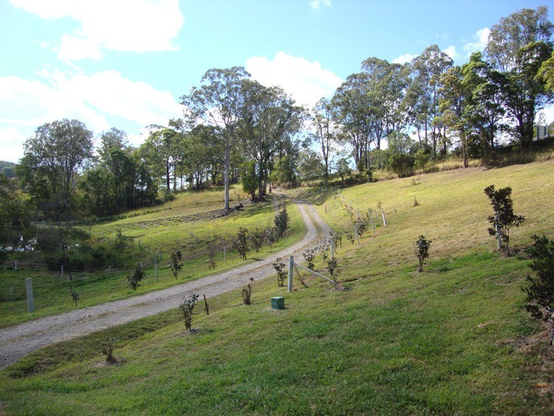 Mapleton QLD 4560