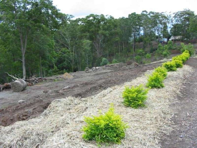 28 Jacaranda Drive, Parklands QLD 4560