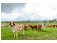 Miva QLD 4570