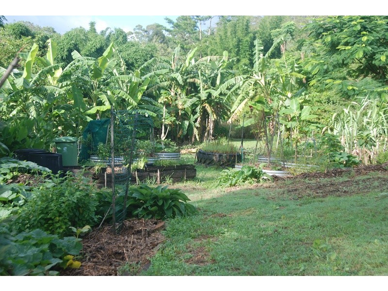 31 Bamboo Road, Palmwoods QLD 4555