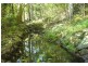1 Babbling Brook Place, Eumundi QLD 4562