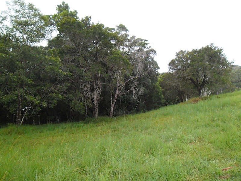 1 Babbling Brook Place, Eumundi QLD 4562