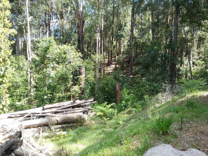 350 Kiel Mountain Road, Kiels Mountain QLD 4559