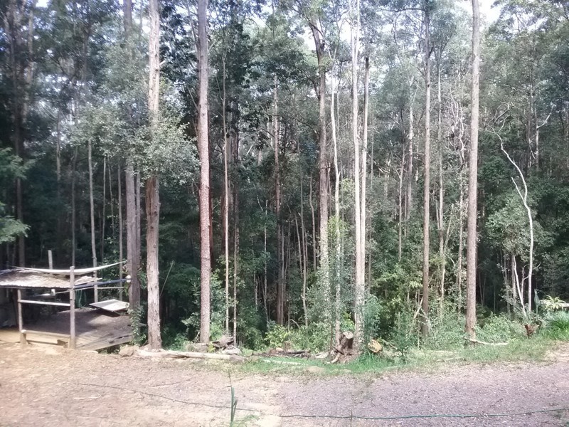 350 Kiel Mountain Road, Kiels Mountain QLD 4559