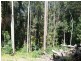350 Kiel Mountain Road, Kiels Mountain QLD 4559