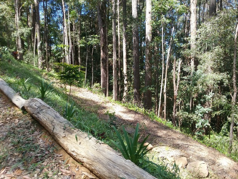 350 Kiel Mountain Road, Kiels Mountain QLD 4559