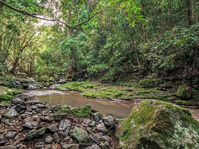 635-659 Blackall Range Road, West Woombye QLD 4559