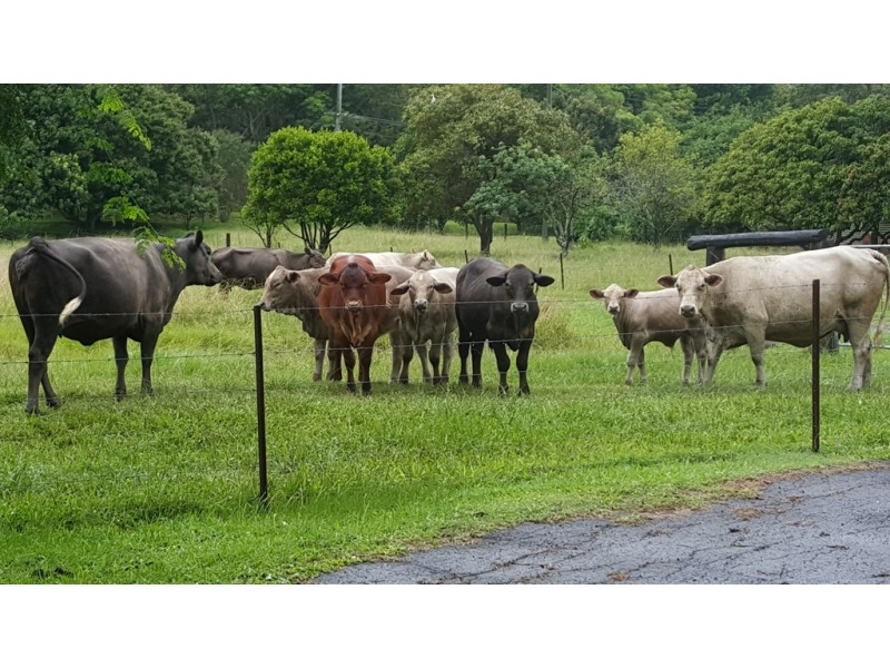 454-472 Blackall Range Road, West Woombye QLD 4559