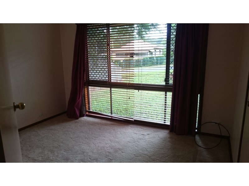 4 Dana Court, Palmwoods QLD 4555