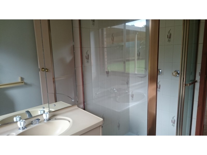 4 Dana Court, Palmwoods QLD 4555