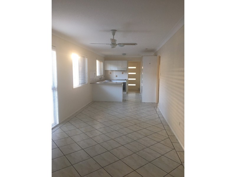 13 Colburn Street, Cleveland QLD 4163