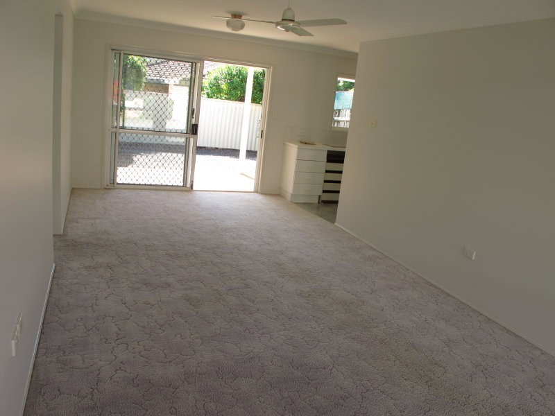 91 Wynyard Street, Cleveland QLD 4163