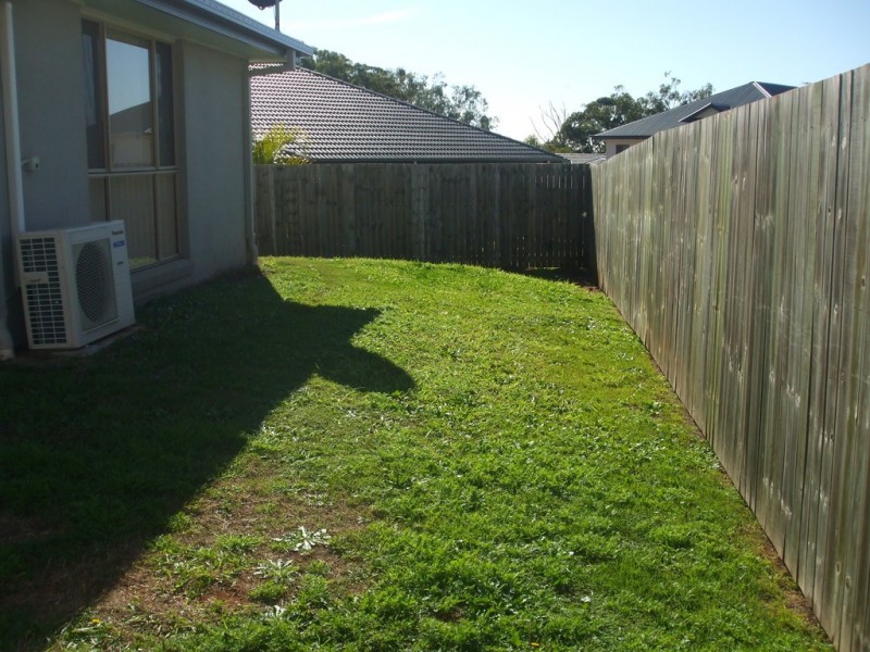 15 Delancey Street, Cleveland QLD 4163