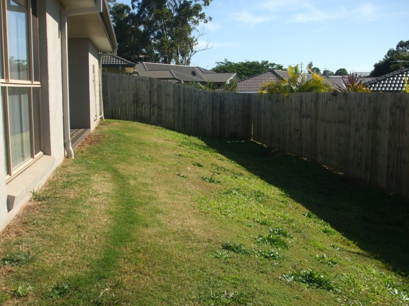 15 Delancey Street, Cleveland QLD 4163