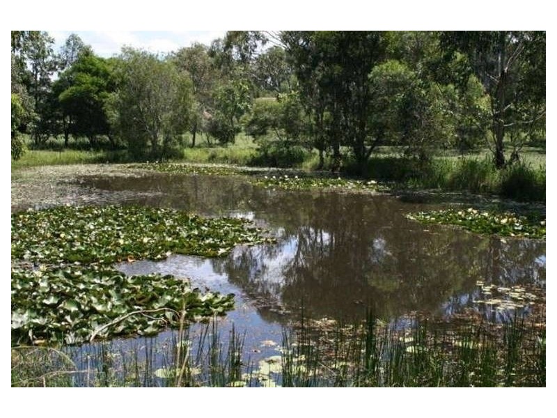 5 Mango Place, Thornlands QLD 4164