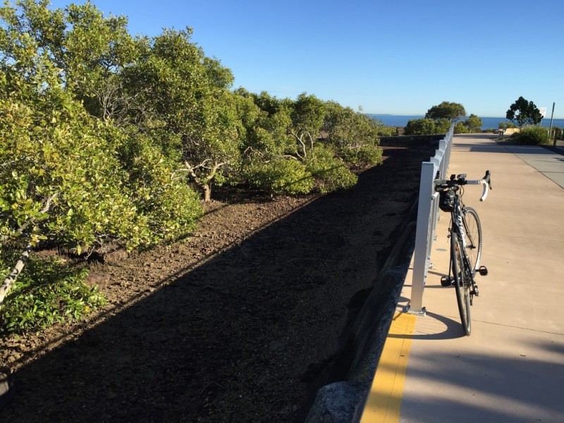 2/4 Clayton Court, Thornlands QLD 4164